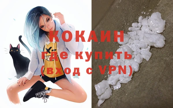 стафф Аркадак