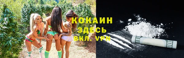 индика Армянск