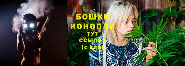 стафф Аркадак