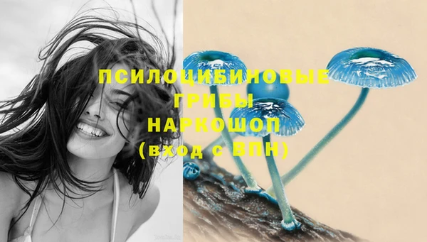 стафф Аркадак