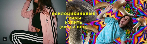 дурь Арсеньев