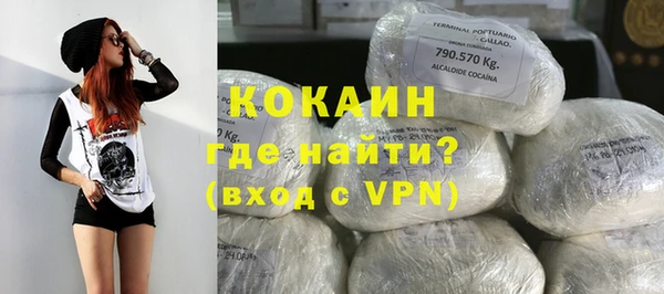 индика Армянск