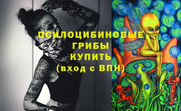 стафф Аркадак